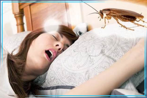 Откуда берутся тараканы в гостинице, в общежитии?